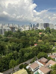 The Draycott (D10), Apartment #468412531